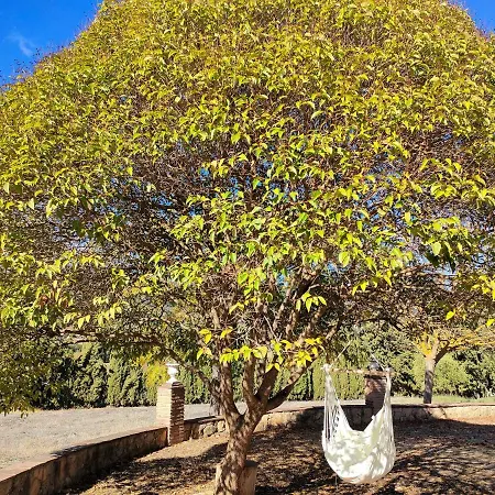Σπίτι διακοπών Casa Rural Las Tablas